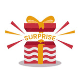 Add Surprise Earrings Worth RS 399 in Just RS 99 HURRY UP